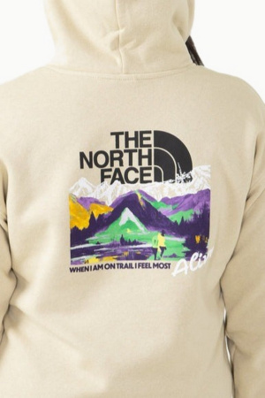 Худи TNF W Evolution Hi Lo Hoodie (Женский; S; Gravel-IWD)